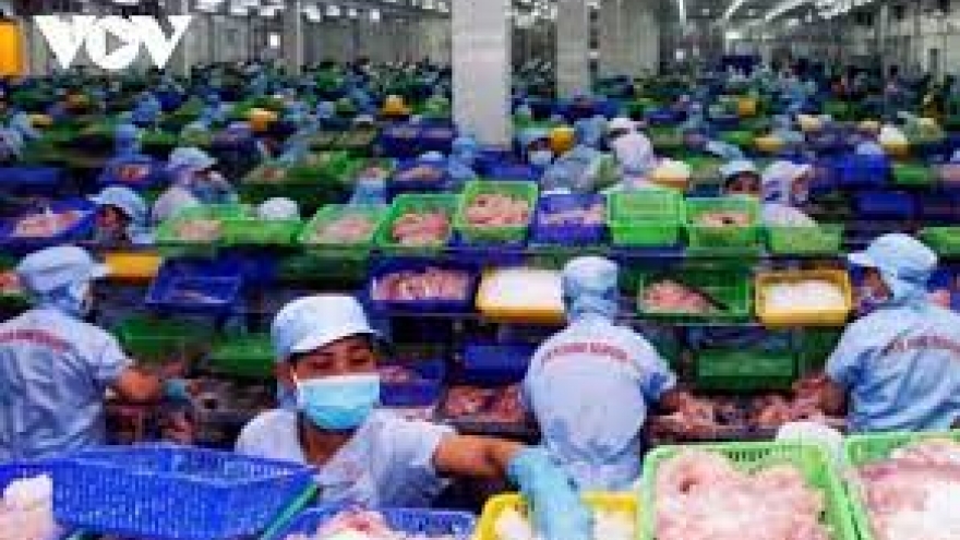 Vietnamese aquatic exports to Russia enjoy rebound